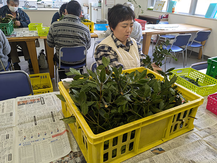 ローリエの内職